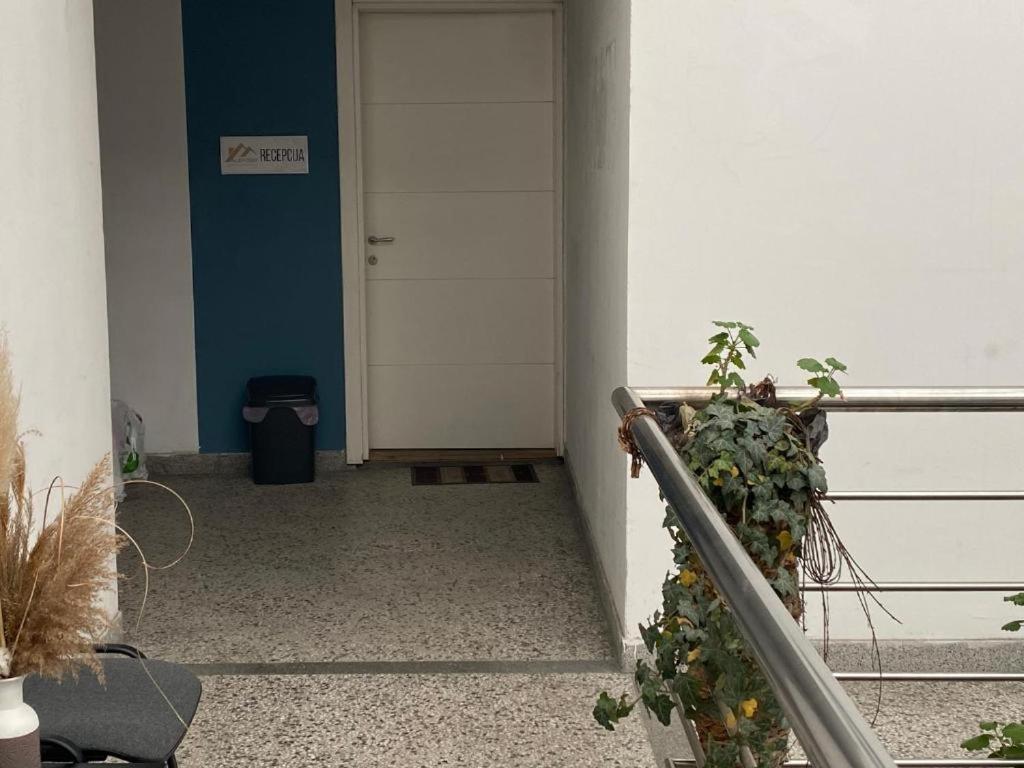Aleksei Apartmani ベオグラード エクステリア 写真